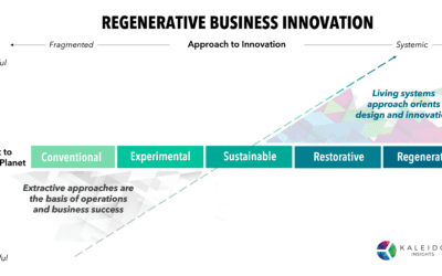 What is Digital Regeneration: Maturity in Business Transformation through Social and Environmental Innovation